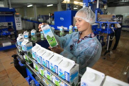 Краткий обзор рынка молока