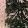 Зеленый чай крупный листовой высший сорт
