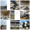 Животноводческий комплекс (молочная ферма)