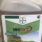 Фунцигид Инпут