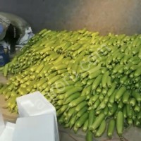 Кабачок свежий