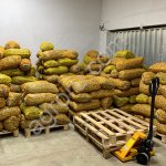 Грецкий орех в скорлупе