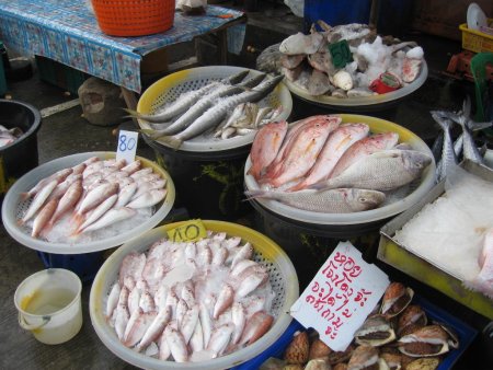 Корея и Китай — основные потребители морепродуктов из Приморья