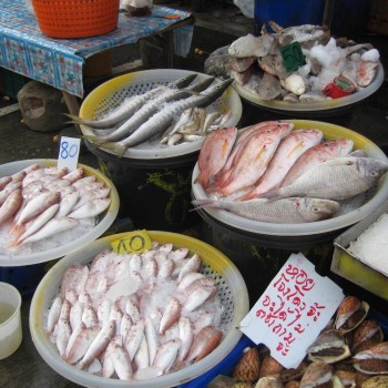 Корея и Китай — основные потребители морепродуктов из Приморья