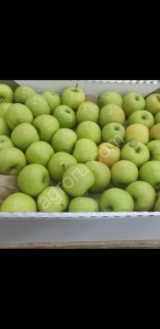 Осенние яблоки сортов Айдаред Джоноголд Жеромин Фуджи Чемпион Голден