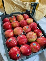 Яблоко 1 сорт.