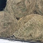 Сено зеленое урожай 2020