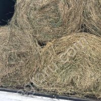 Сено зеленое урожай 2020