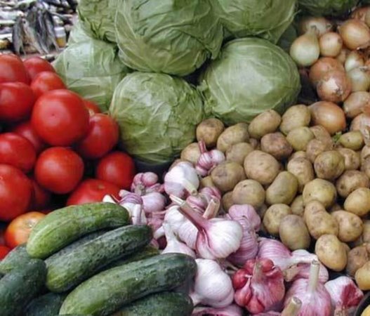 Ленинградская область собрала рекордный урожай овощей