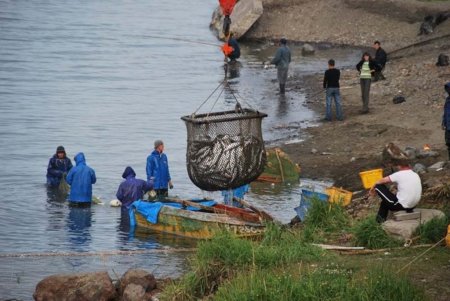 Завершение весеннего цикла работ на Курилах