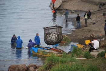 Завершение весеннего цикла работ на Курилах