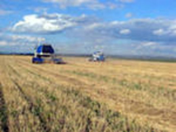 В Молдове началась уборочная страда