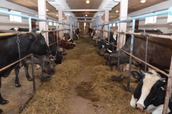 Ямал потратит на развитие молочного производства более 60 млн рублей
