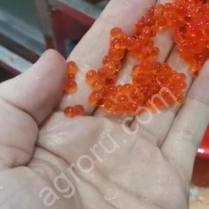 Икра имитированная красная (лопающаяся)
