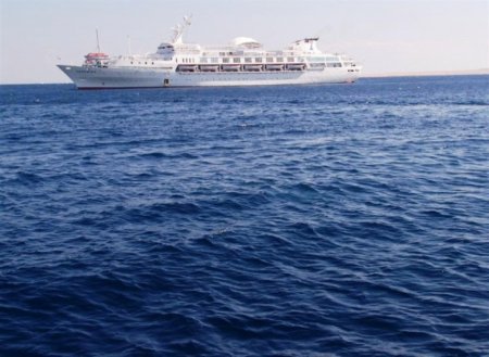 Саудовская Аравия объявила тендер по закупке мукомольной пшеницы