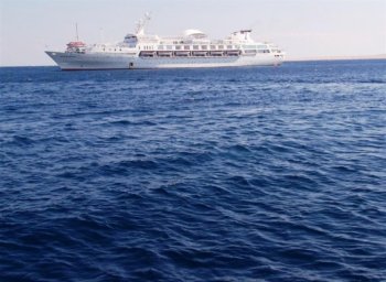 Саудовская Аравия объявила тендер по закупке мукомольной пшеницы