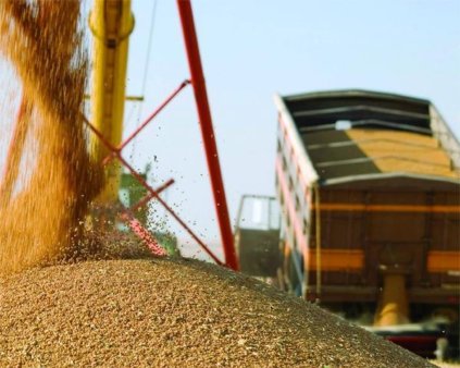 Минсельхоз РФ подготовит предложения по стабилизации зернового рынка
