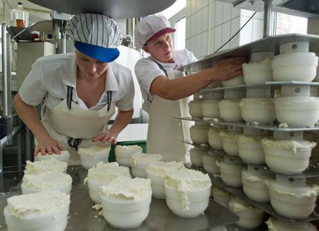 Выстрелили в молоко