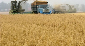 Закрома под завязку, а хлебороб – с протянутой рукой?