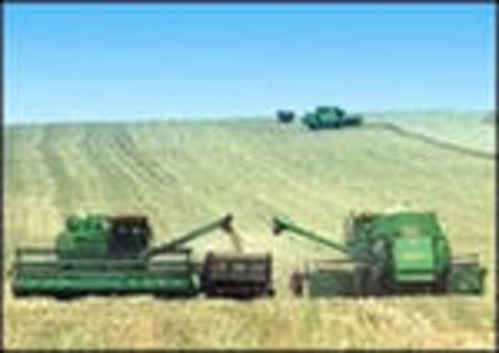 Намолочено свыше 1 млн. тонн зерна