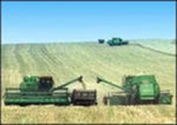 Намолочено свыше 1 млн. тонн зерна