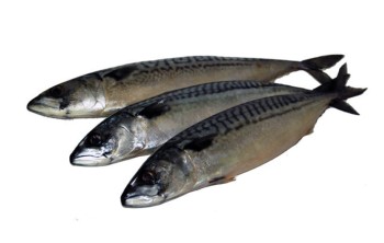 Рыбные цены Тараза