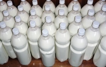 Азаров поручил разблокировать выплату дотаций на молоко
