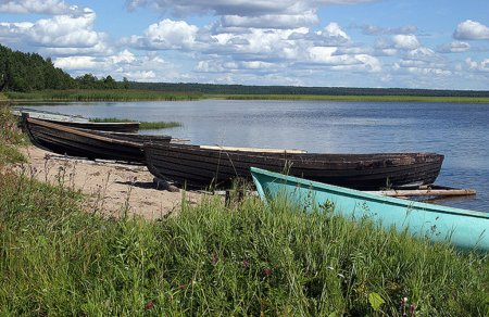 В Хабаровском крае нанайцы остались без красной рыбы