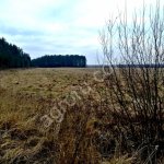 участок 3,53 га