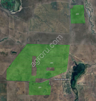 Сдаются сельхозземли в Озинском районе Саратовской обл