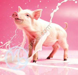 Йогурт сухой «Капилакт», мягкий переход на престартер для поросят