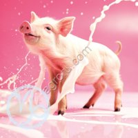 Йогурт сухой «Капилакт», мягкий переход на престартер для поросят