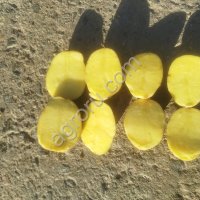 Картофель Гала