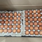 Яйцо куриное С2