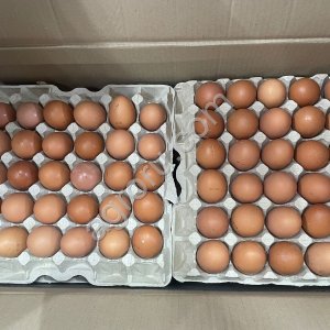 Яйцо куриное С2