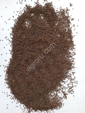 Горчица черная