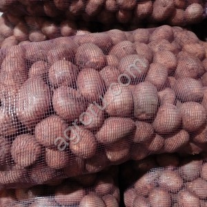 Картофель