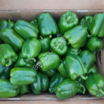 Перец болгарский