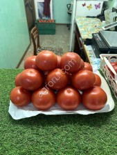 Томат Тореро F1