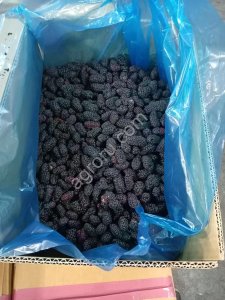 шелковица замороженная