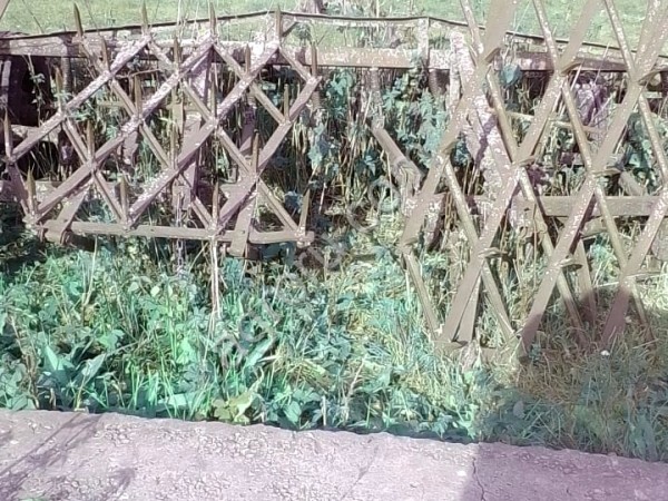 Культиватор Оршаагропроммаш, АМП-4Г, 2015