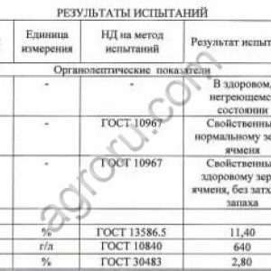 Зерно Ячмень