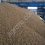 Сухуая пивная дробина.