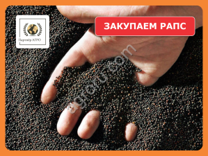 Ищем поставщиков рапса в Омской области