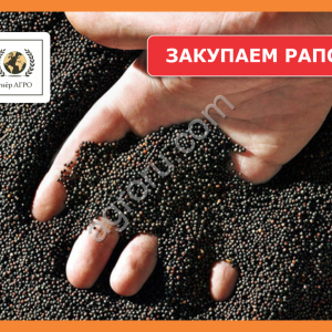 Ищем поставщиков рапса в Омской области