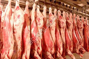 Мясо говядина оптовые из Бразилии.