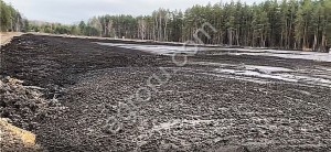 Сапропель - природное органическое удобрение