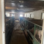 ферма в Подмосковье