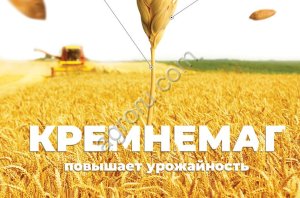 Кремнемаг