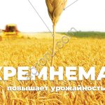 Кремнемаг
